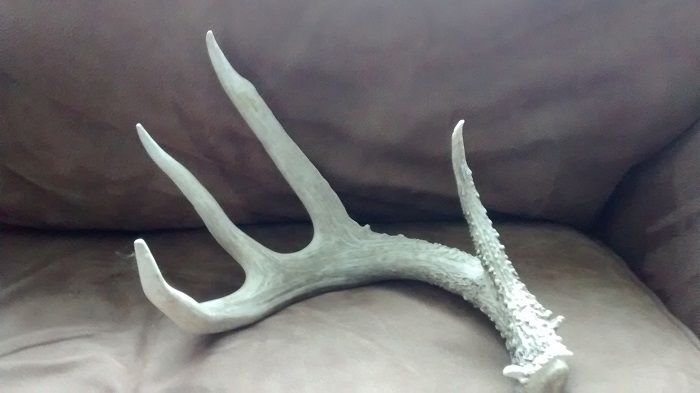 deer shed 2
