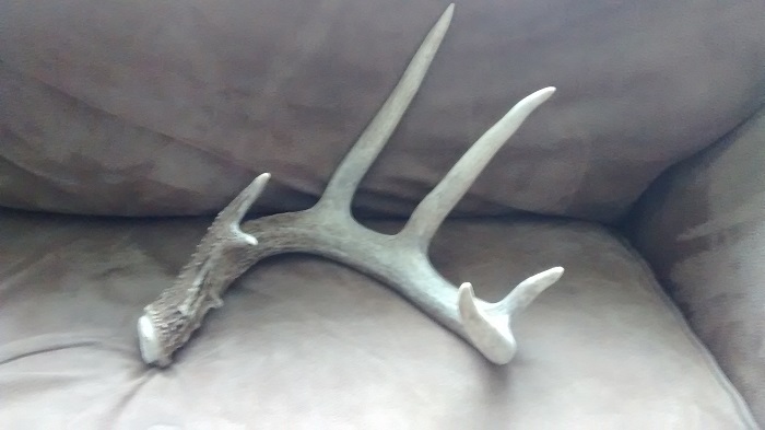 deer shed 2