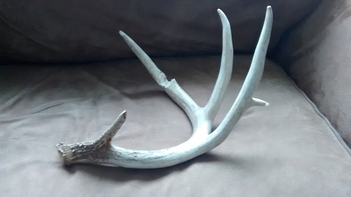 deer shed 2