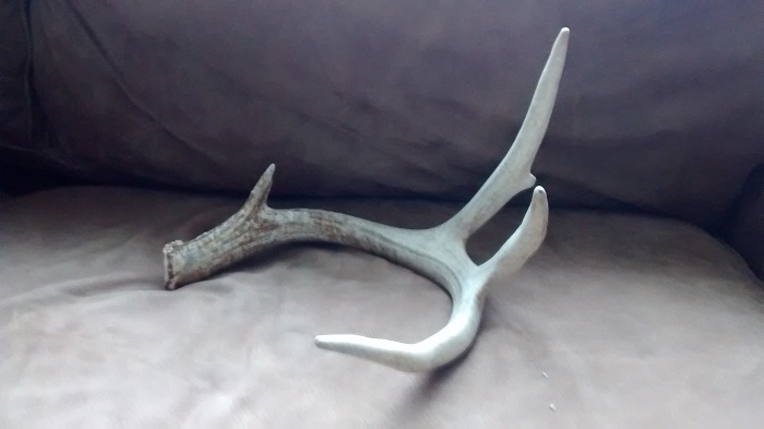 deer shed 2