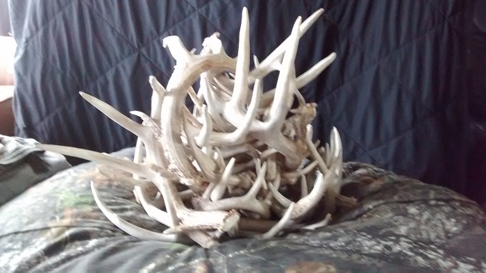 deer shed 2