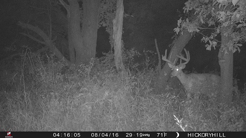 A-Bomb Cam Photos-2016