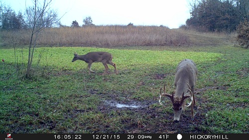 Apollo Cam Photos-2015