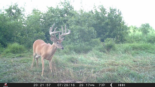 Apollo Cam Photos-2016