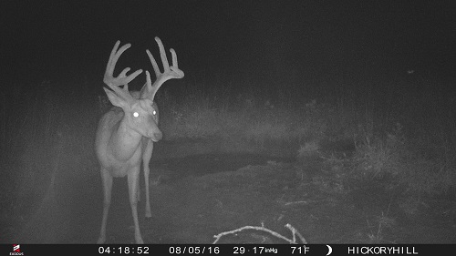 Mr Right Cam Photos-2016