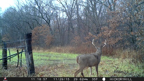 Super 6 Cam Photos-2015