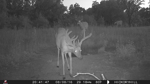 Super 6 Cam Photos-2016