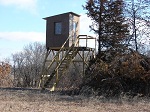tree stand 3